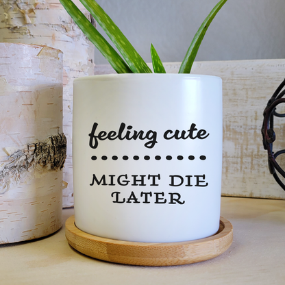 Feeling Cute Ceramic Planter Pot